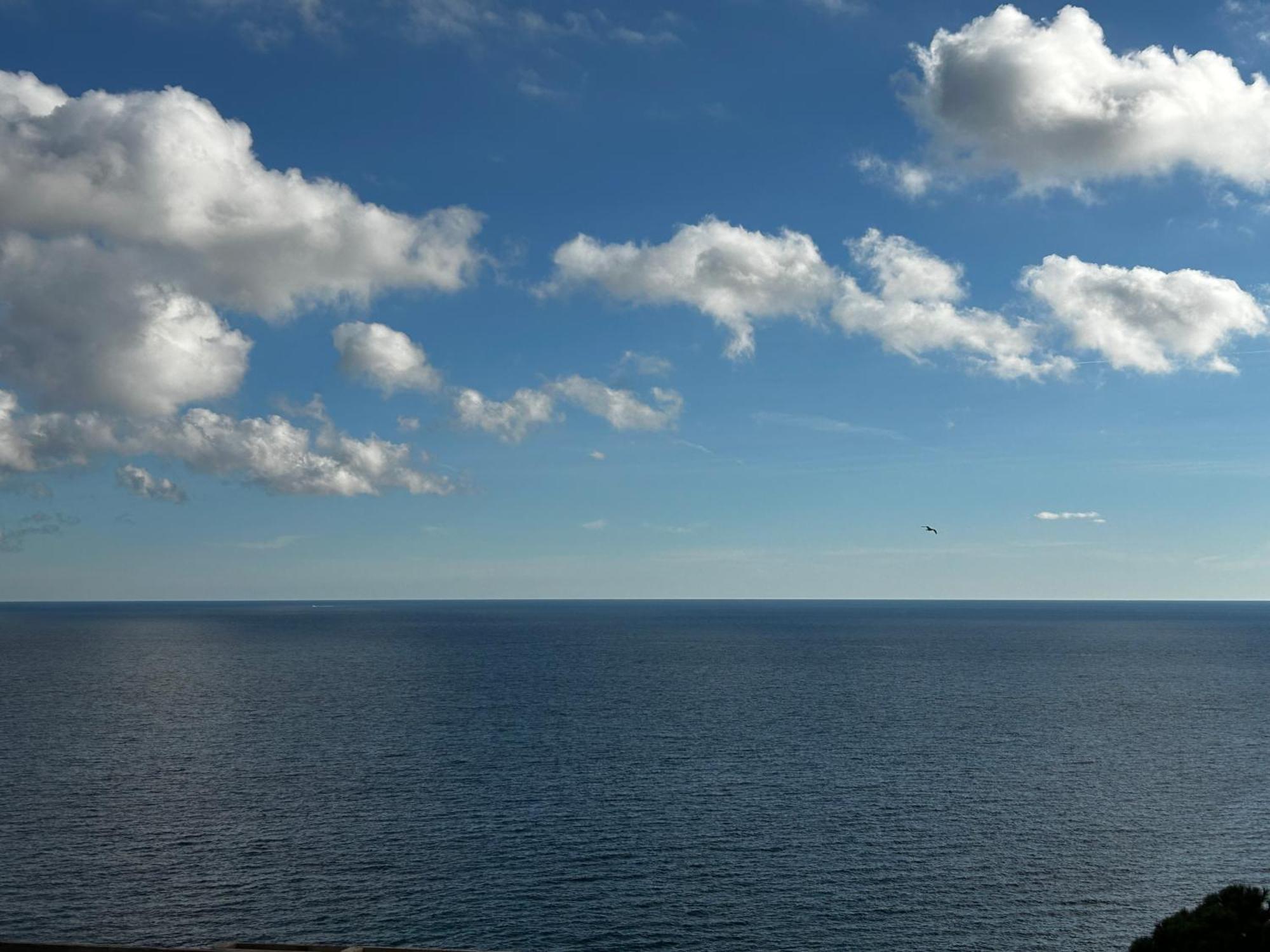 Casa Serge Vista Mare Con Ampio Terrazzo Privato بيرغيجي المظهر الخارجي الصورة
